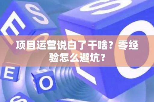 项目运营说白了干啥？零经验怎么避坑？